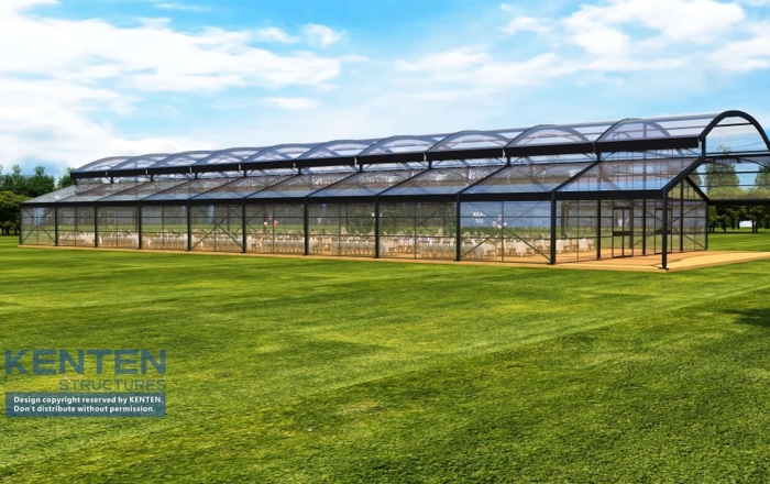 20x50x3m Atrium Tent -  Black Structure Tent
